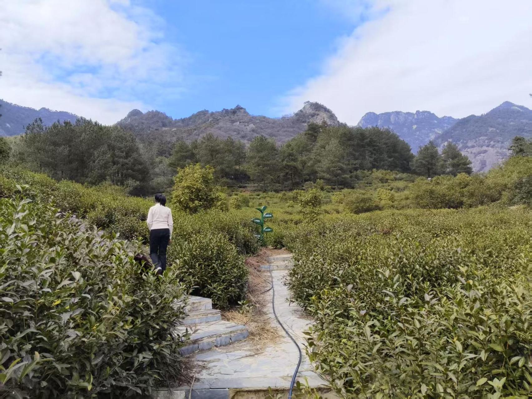 Yunshan Villa Huangshan Exterior photo